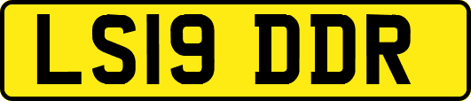 LS19DDR