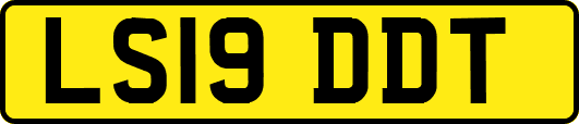 LS19DDT