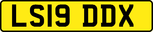 LS19DDX