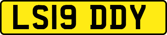 LS19DDY