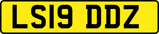 LS19DDZ