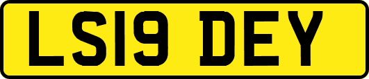 LS19DEY