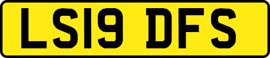 LS19DFS