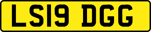 LS19DGG