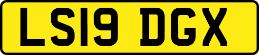 LS19DGX