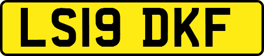 LS19DKF