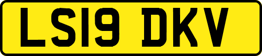 LS19DKV