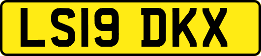 LS19DKX