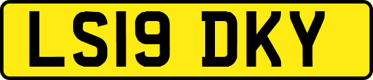 LS19DKY