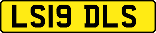 LS19DLS