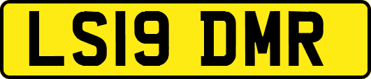LS19DMR
