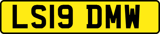 LS19DMW