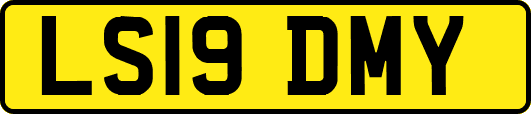 LS19DMY