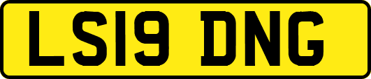 LS19DNG