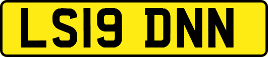 LS19DNN