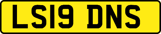 LS19DNS