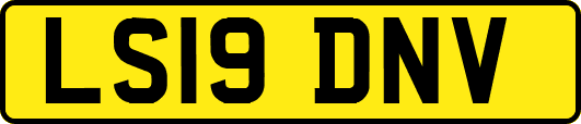 LS19DNV