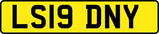 LS19DNY