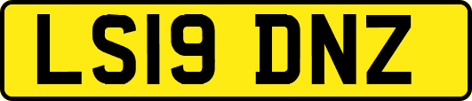 LS19DNZ