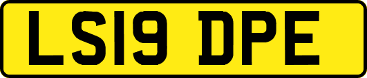LS19DPE