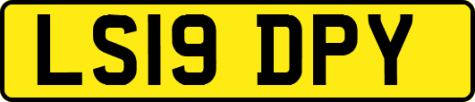 LS19DPY