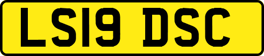 LS19DSC