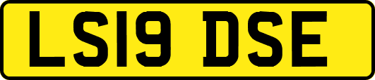 LS19DSE
