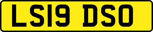 LS19DSO