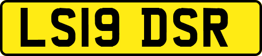 LS19DSR