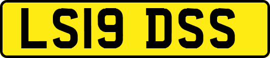 LS19DSS
