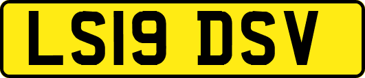 LS19DSV