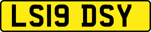 LS19DSY