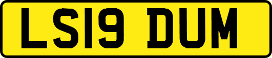 LS19DUM