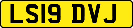 LS19DVJ