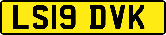 LS19DVK