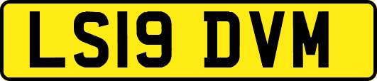 LS19DVM