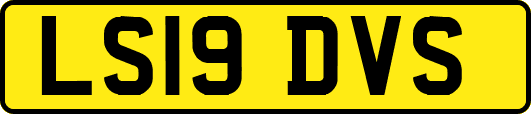 LS19DVS