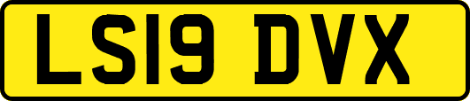 LS19DVX