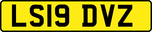 LS19DVZ