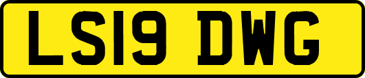 LS19DWG