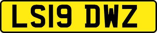 LS19DWZ