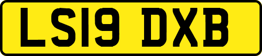 LS19DXB