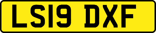 LS19DXF