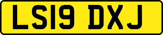 LS19DXJ