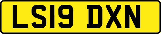 LS19DXN
