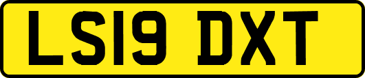 LS19DXT