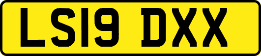 LS19DXX