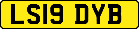 LS19DYB