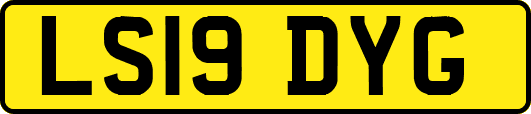 LS19DYG