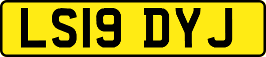 LS19DYJ